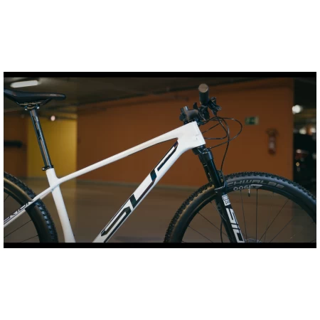 039609-02-crop.webp