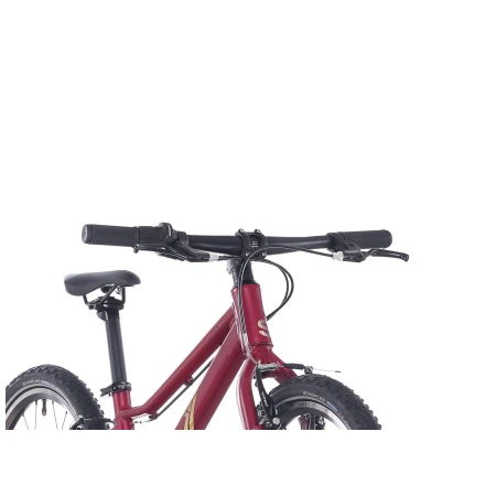 040227-05-crop.webp