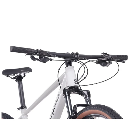 040267-05-crop.webp