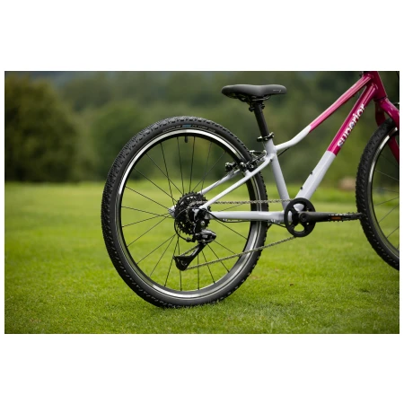 041372-02-crop.webp