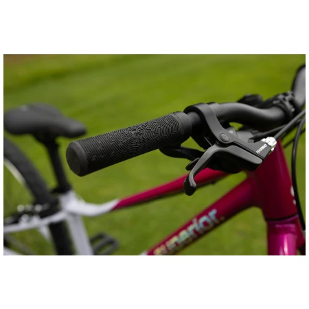 041372-04-crop.webp