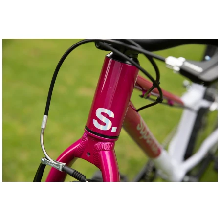 041372-05-crop.webp