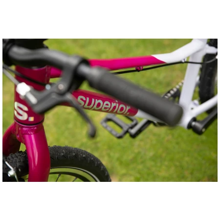 041372-06-crop.webp