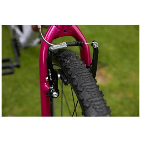 041372-08-crop.webp
