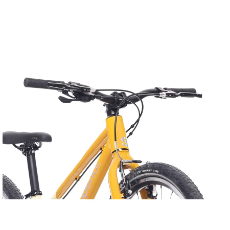 041374-06-crop.webp