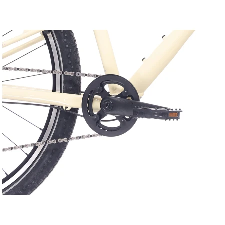 041374-09-crop.webp