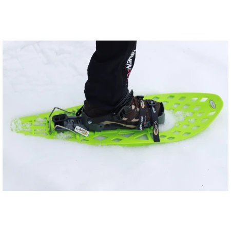 041455-06-crop.webp
