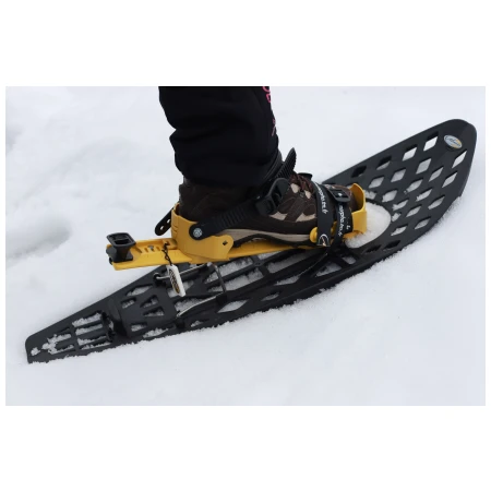 041456-07-crop.webp