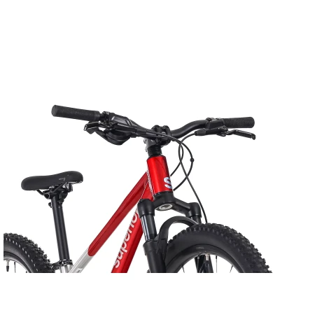 041584-06-crop.webp
