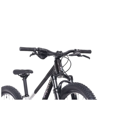 041585-06-crop.webp