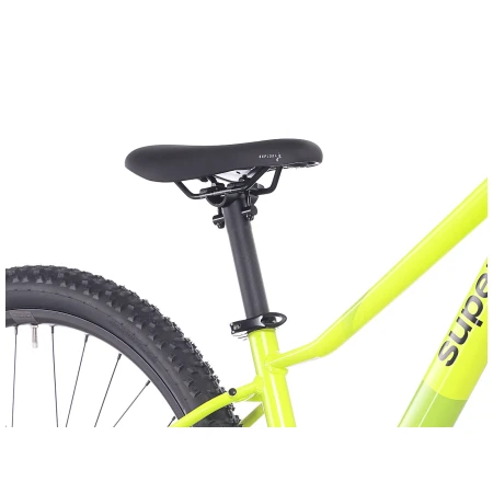 041678-06-crop.webp