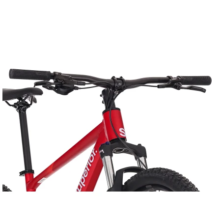 041749-05-crop.webp
