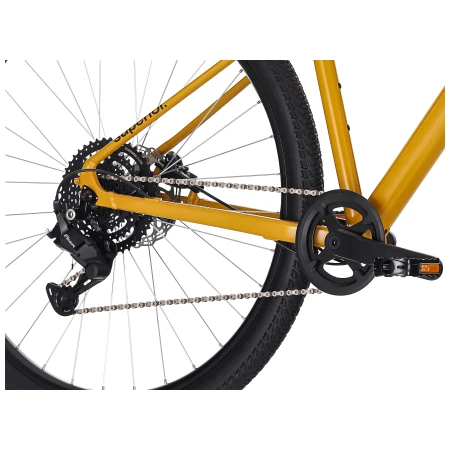 041753-07-crop.webp