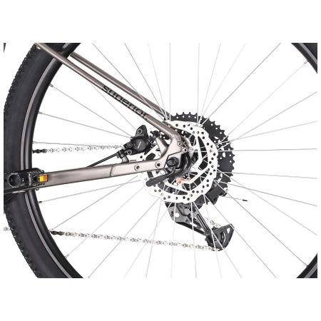 041754-02-crop.webp