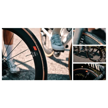 041846-01-crop.webp
