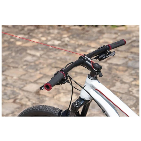 041880-02-crop.webp