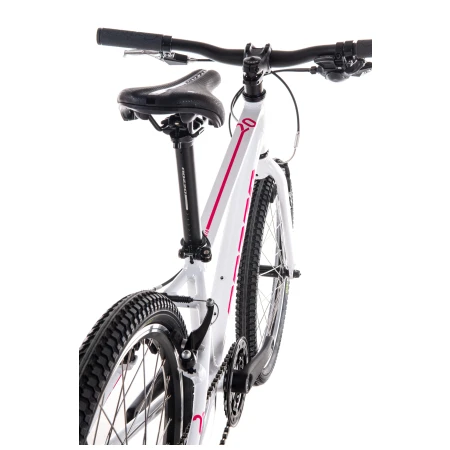 041956-02-crop.webp