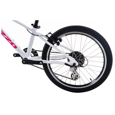 041956-03-crop.webp