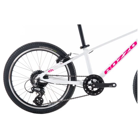 041956-04-crop.webp