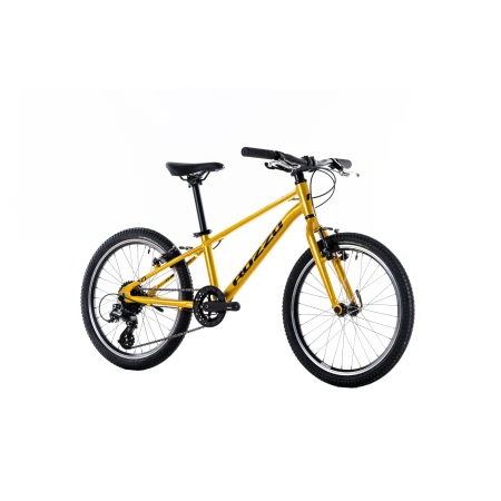 041958-01-crop.webp