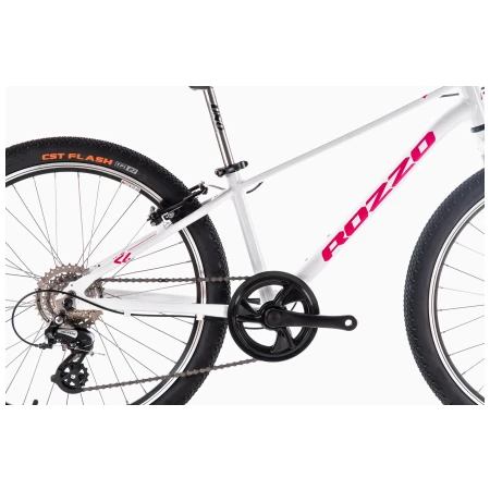 041959-01-crop.webp