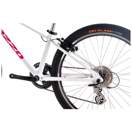 041959-03-crop.webp