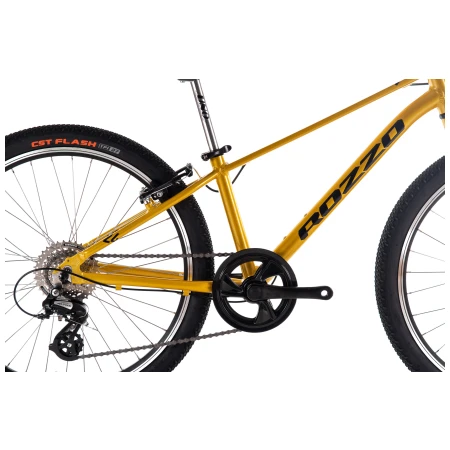 041961-02-crop.webp