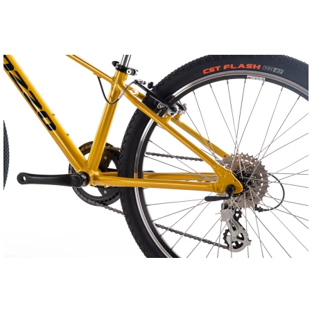 041961-03-crop.webp