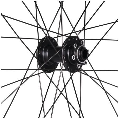 041977-02-crop.webp
