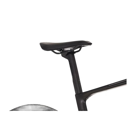 041986-06-crop.webp